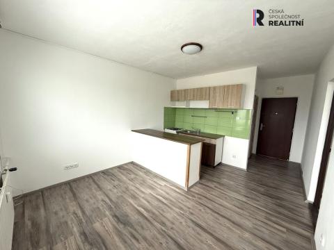 Pronájem bytu 1+1, Sokolov, Švabinského, 40 m2