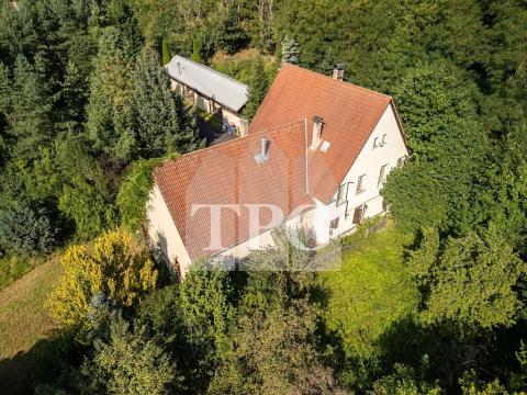 Prodej vícegeneračního domu, Deštnice, 530 m2