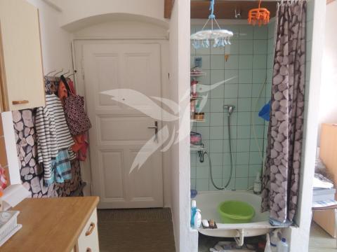 Pronájem bytu 1+kk, Plzeň, Božkovská, 20 m2