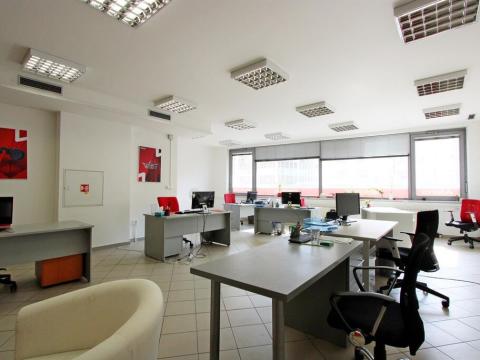 Pronájem kanceláře, Brno, Pekařská, 318 m2