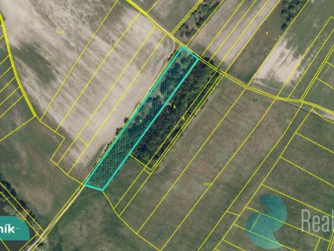 Prodej podílu 1/8 pole, Hlavečník, 3089 m2