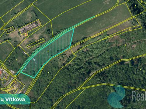 Prodej podílu 1/4 louky, Vítkov, 11106 m2