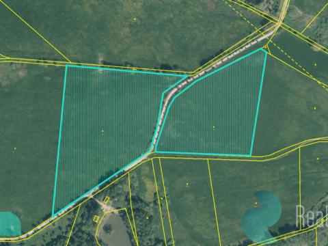 Prodej podílu 1/4 louky, Drmoul, 50238 m2
