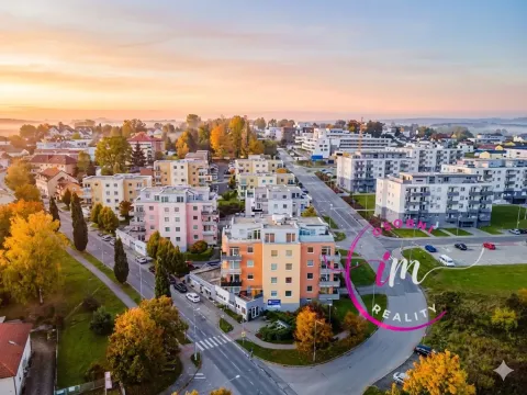 Prodej obchodního prostoru, Jihlava - Horní Kosov, Buková, 242 m2