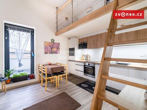 Pronájem bytu 1+kk, Zlín, K Majáku, 42 m2