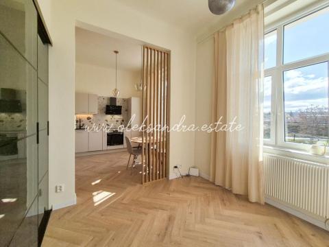 Prodej bytu 1+1, Praha - Libeň, Zenklova, 40 m2