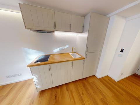 Pronájem bytu 1+kk, Praha, Nad Kajetánkou, 17 m2