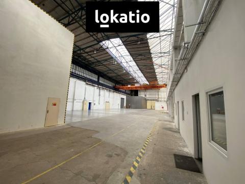 Pronájem výrobních prostor, Brno, 1200 m2