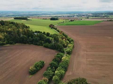 Prodej pole, Červené Pečky, 18647 m2