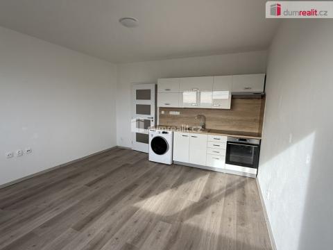 Pronájem bytu 2+kk, Ústí nad Labem, Brandtova, 40 m2