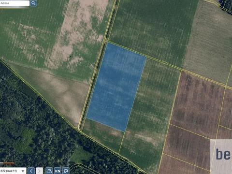 Prodej pole, Dyjákovice, 67292 m2