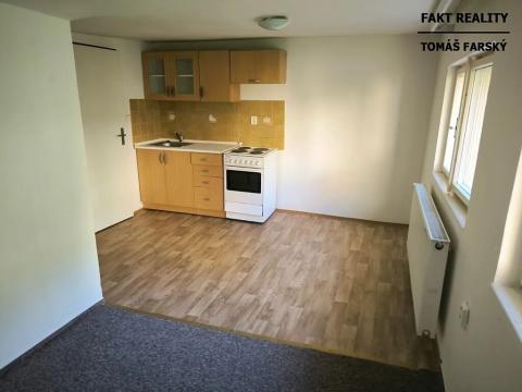 Pronájem bytu 1+kk, Děčín, Teplická, 19 m2