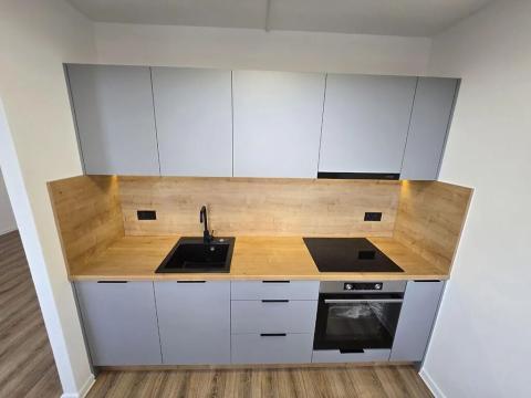 Pronájem bytu 3+1, Most, Javorová, 69 m2