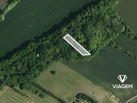 Prodej podílu lesa, Telnice, 462 m2