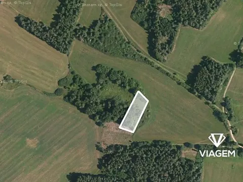 Prodej podílu lesa, Chanovice, 1232 m2