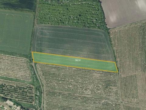 Prodej pole, Želkovice, 7043 m2