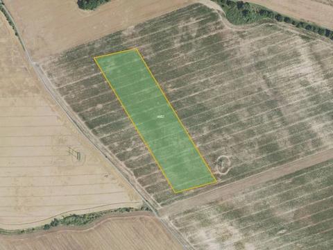 Prodej pole, Nesuchyně, 28717 m2
