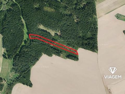 Prodej podílu lesa, Věžnice, 448 m2