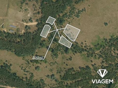 Prodej podílu lesa, Terezín, 3021 m2