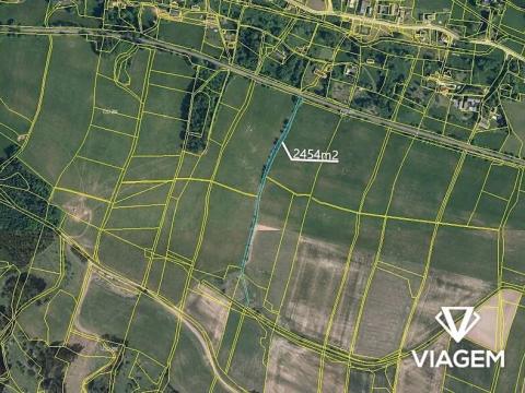 Prodej pole, Borovnice, 2939 m2