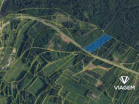 Prodej podílu lesa, Loužnice, 5983 m2