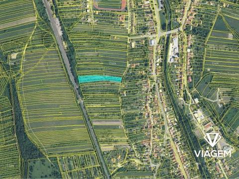 Prodej podílu zahrady, Velká nad Veličkou, 559 m2