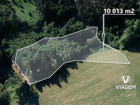 Prodej podílu lesa, Kaliště, 2503 m2