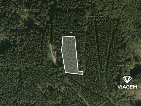 Prodej podílu lesa, Morávka, 2783 m2