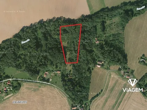 Prodej podílu lesa, Sobotka, 2241 m2