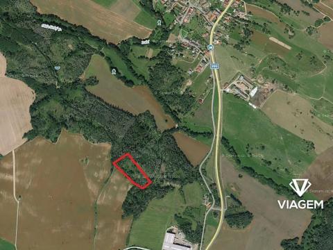 Prodej podílu lesa, Třebíč, 3057 m2