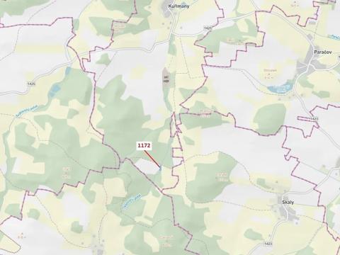 Dražba lesa, Kuřimany, 875 m2