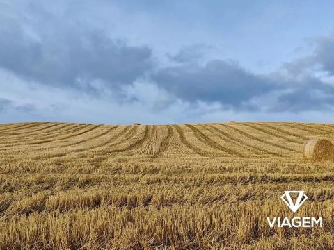 Prodej pole, Záhornice, 6270 m2