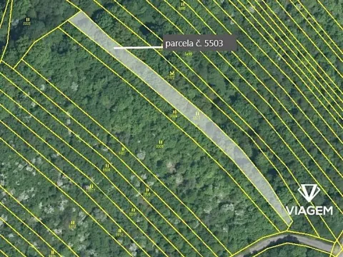 Prodej podílu pole, Březolupy, 746 m2