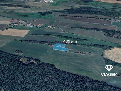 Prodej pole, Drevníky, 4399 m2