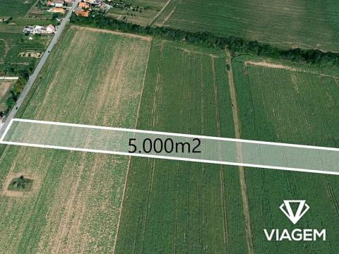 Prodej podílu pole, Znojmo, 5000 m2