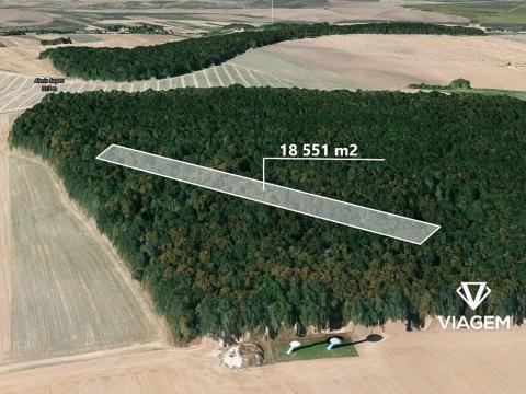 Prodej lesa, Hněvošice, 18551 m2