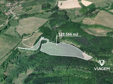 Prodej podílu lesa, Bojkovice, 647 m2