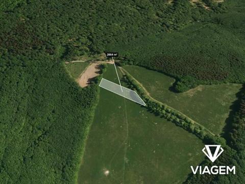 Prodej pole, Staré Hutě, 2664 m2