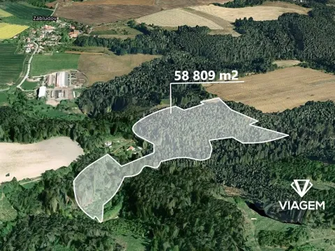Prodej podílu lesa, Letovice, 1470 m2