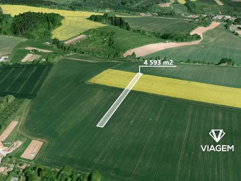 Prodej podílu lesa, Sebranice, 2296 m2