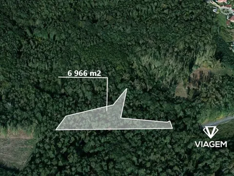 Prodej podílu lesa, Dašice, 3483 m2