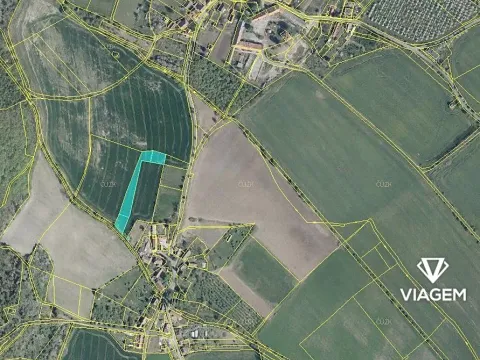 Prodej podílu pole, Třebenice, 1072 m2