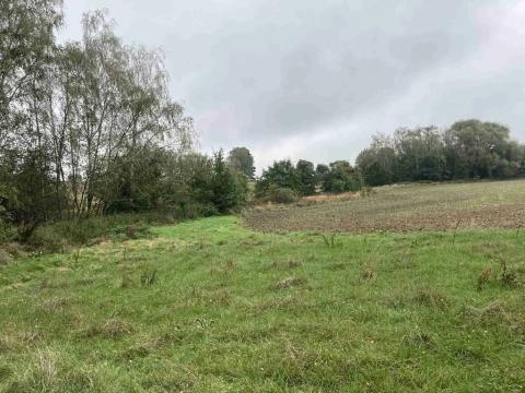 Dražba pole, Kostelec nad Černými lesy, 15764 m2