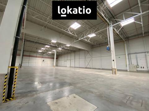 Pronájem skladu, Modřice, 3920 m2