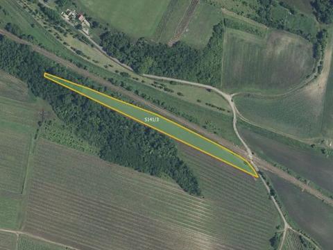 Prodej pole, Novosedly, 9816 m2