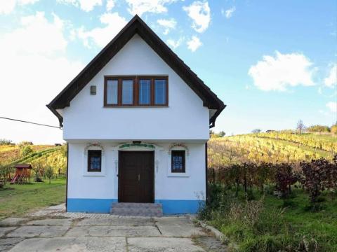 Prodej vinného sklepa, Mutěnice, 120 m2