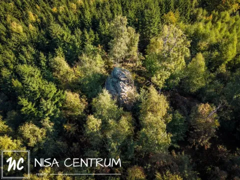 Prodej lesa, Šimonovice, 30343 m2