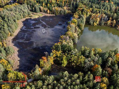 Prodej pozemku, Chlum u Třeboně - Žíteč, 64790 m2