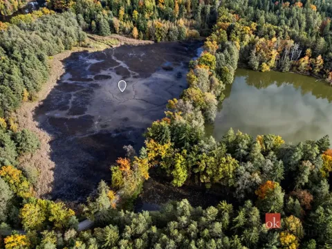 Prodej pozemku, Chlum u Třeboně - Žíteč, 64790 m2