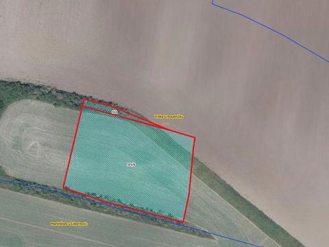 Prodej pole, Budyně nad Ohří, 4658 m2